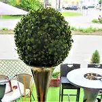 Conditorei Cafe Baier Ξενοδοχείο Schoemberg (Zollernalbkreis)